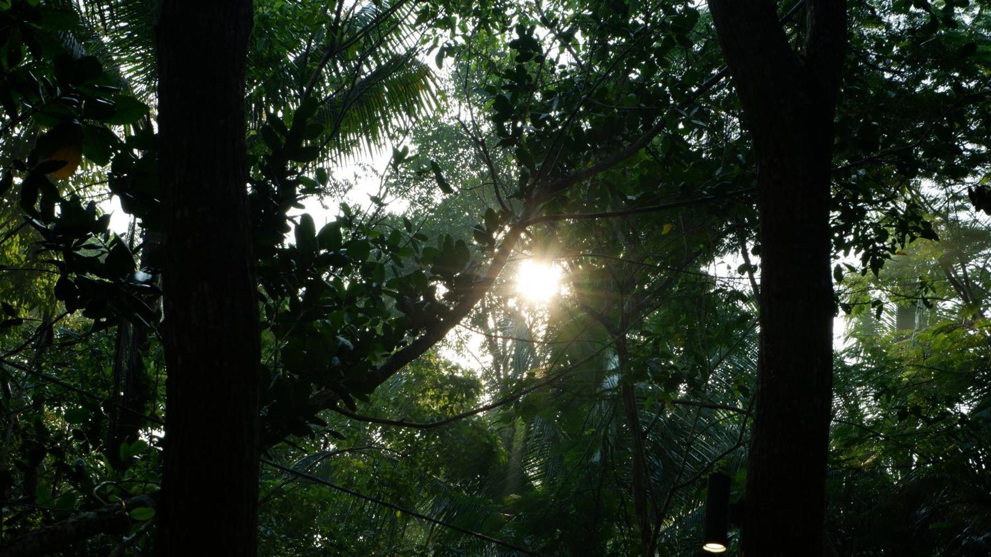 Hau Eco Lodges Citumang Pangandaran Exteriér fotografie